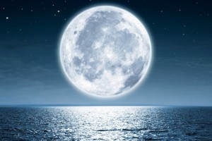 full-moon-picture-id503874466_-_smaller