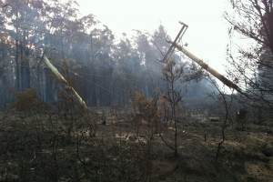 hangingpolesalongsidearthurhighway_5jan2013_photographermikelarkinofauroraenergy_smaller