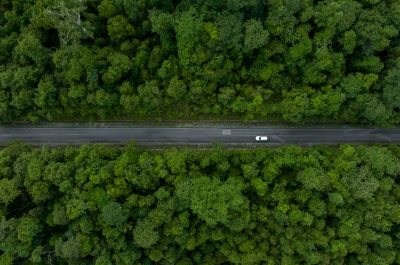 EV drives through a forest