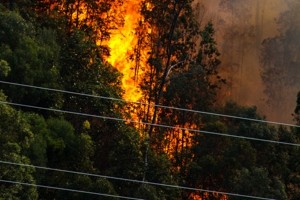 istock-462049421_-_electricty_wires_near_bushfire_smaller